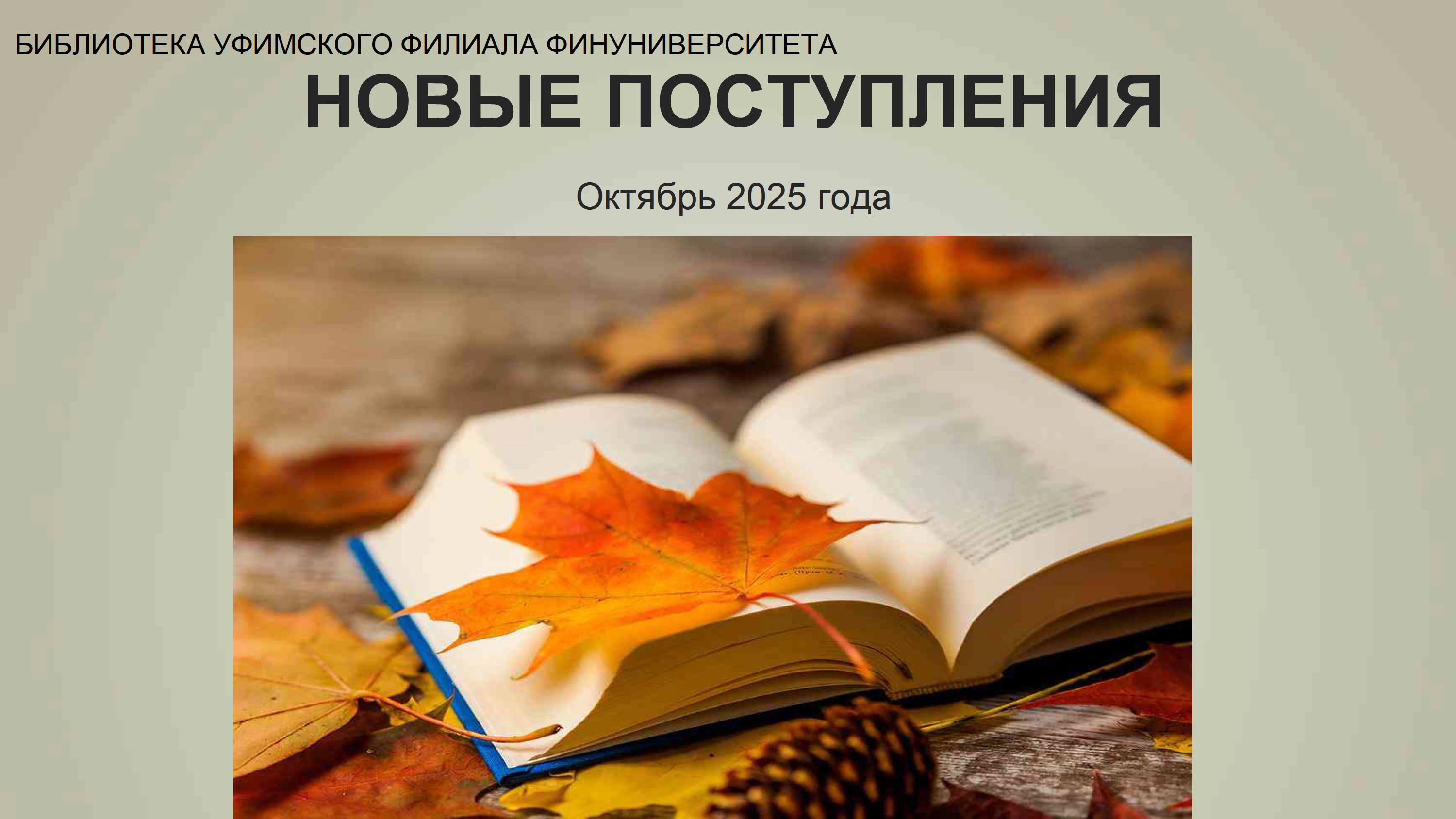 Представляем Вам новые книги, поступившие в фонд библиотеки Уфимского филиала Финуниверситета (октябрь 2025).